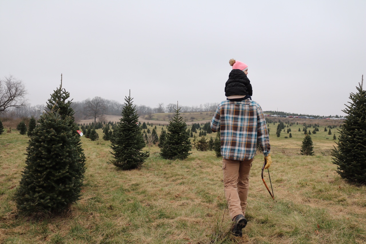 Cut Your Own Christmas Tree - Hanns Christmas Farm Wisconsin